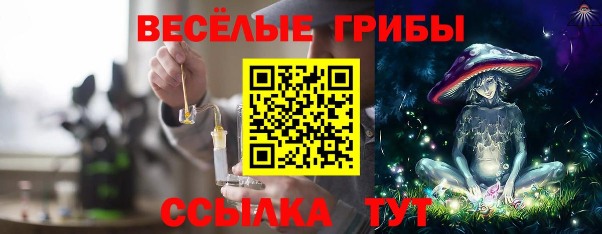 Галлюциногенные грибы Cubensis  Галлюциногенные грибы Psilocybine cubensis  Зеленодольск  цены наркотик  Вход с VPN 