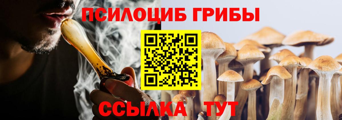 Галлюциногенные грибы Cubensis Зеленодольск
